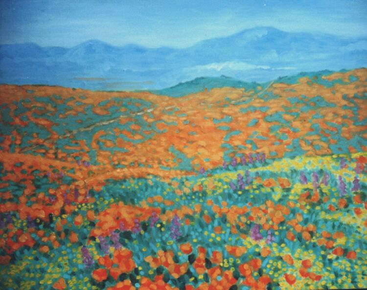 Landscape. Oils on canvas. California poppy fields 